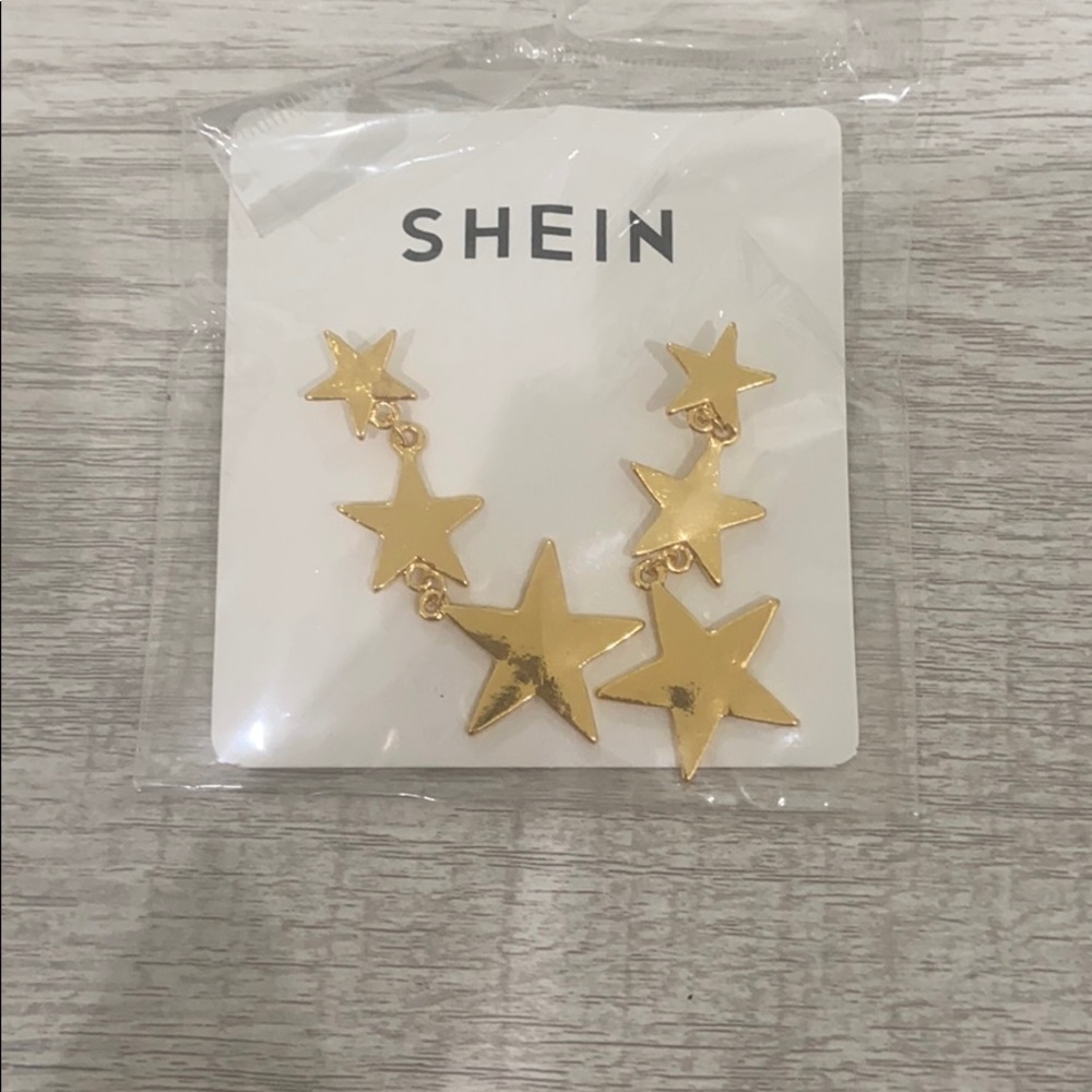 shein earnings looks just like princess polly pair